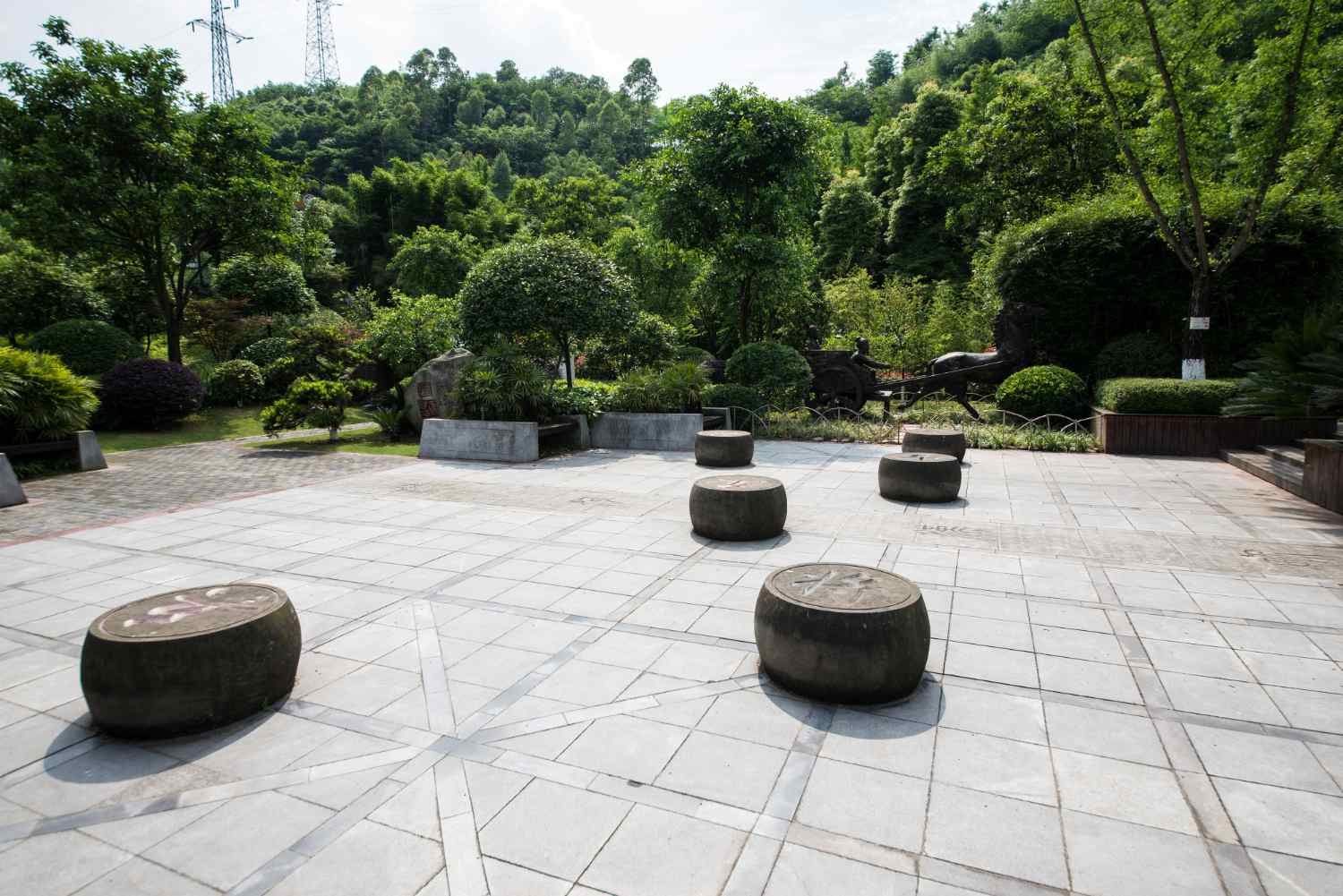 Local Landscaping Trends