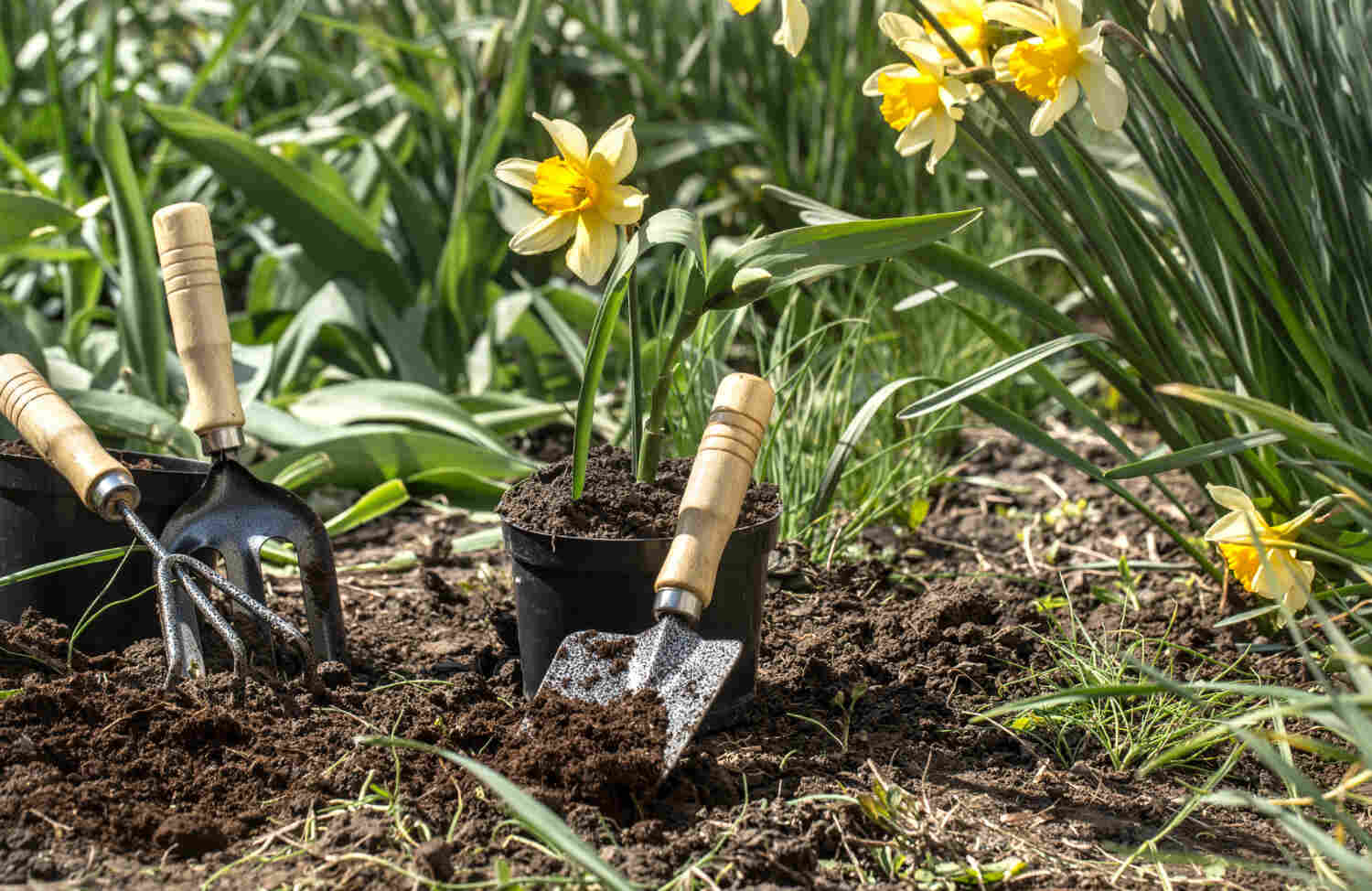 Spring Landscaping Project