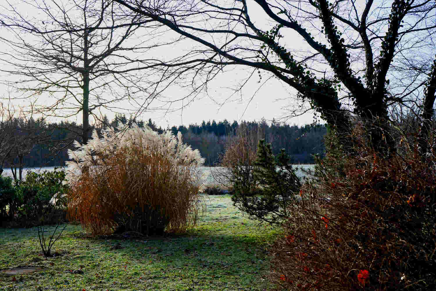 winter landscape preparation
