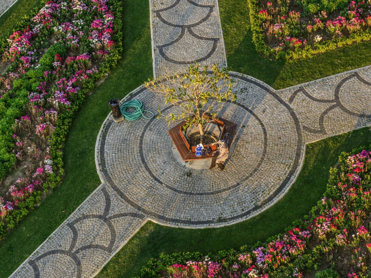 landscape planning